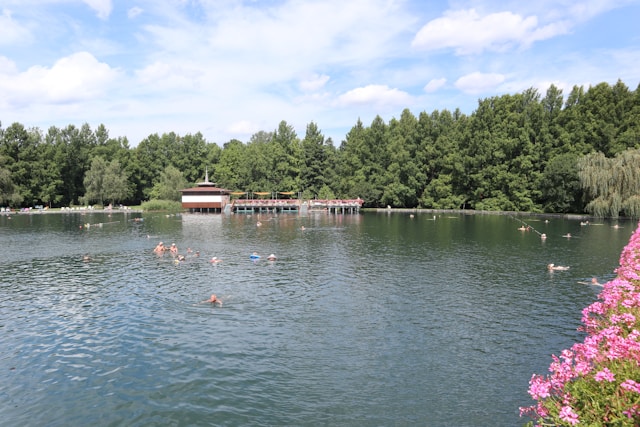 Inspiração Norvanteliva